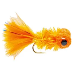 Boobie Cactus Orante Fly