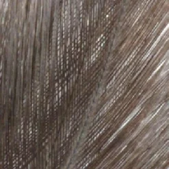 Colgadera Indian Lion Feather