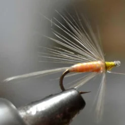 Drowned Saltona D Fly