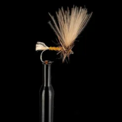 Gutt Vila Emergent Fly