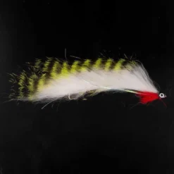 Intermediate Snake Blob