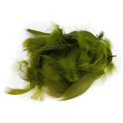 Mallard Barred Feather