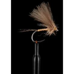 Pardon Gutt Vila Fly